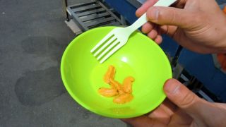 ウニとり体験
