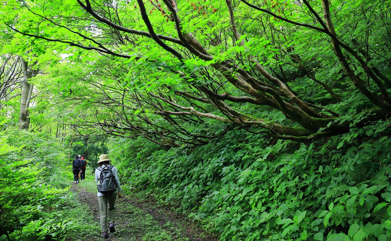 佐渡島 観光するならいつ 旅の目的別ベストシーズン 離島ガイド